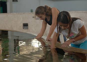 Mote Marine Aquarium in Sarasota, Florida with RVA Vacation Rentals