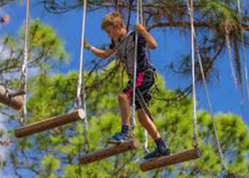 TreeUmph in Bradenton, Florida with RVA